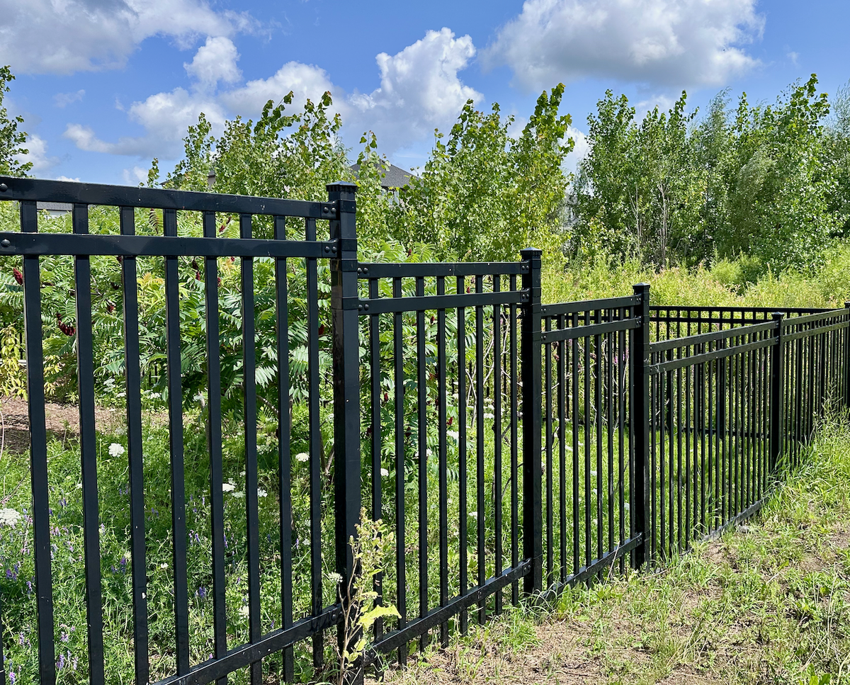 Commercial/residential ornamental iron fencing in backyard.